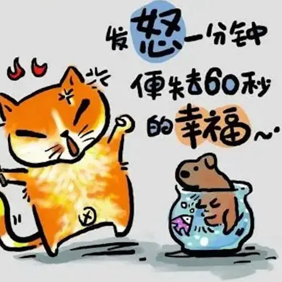 内院大赛